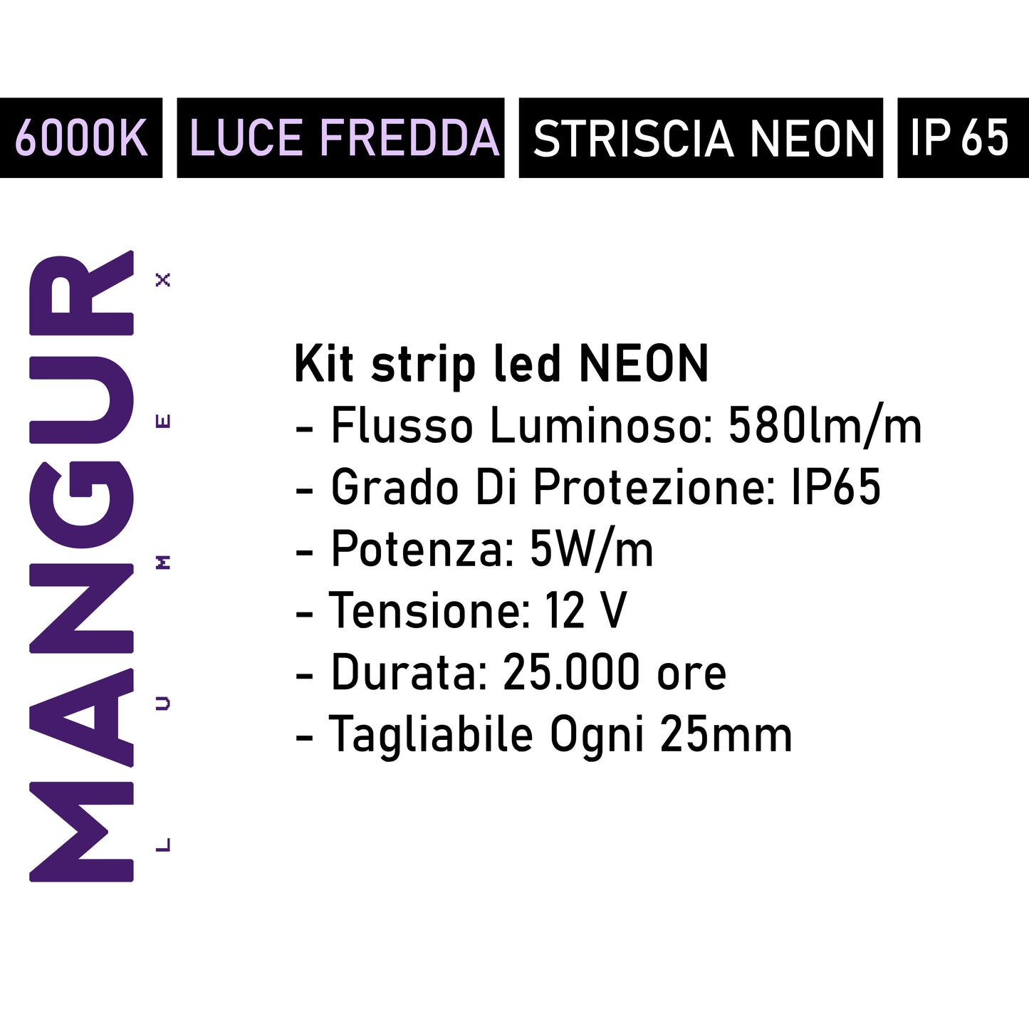 Kit Striscia Led NEON 3mt, Luce Fredda 6000k, 15W, 1740lm, IP65