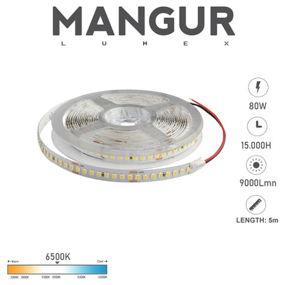 Striscia LED Dimmerabile, Luce Fredda 6500k, Flusso luminoso 1850 Lumen/mt - 176 LED/m 880 led, 80W
